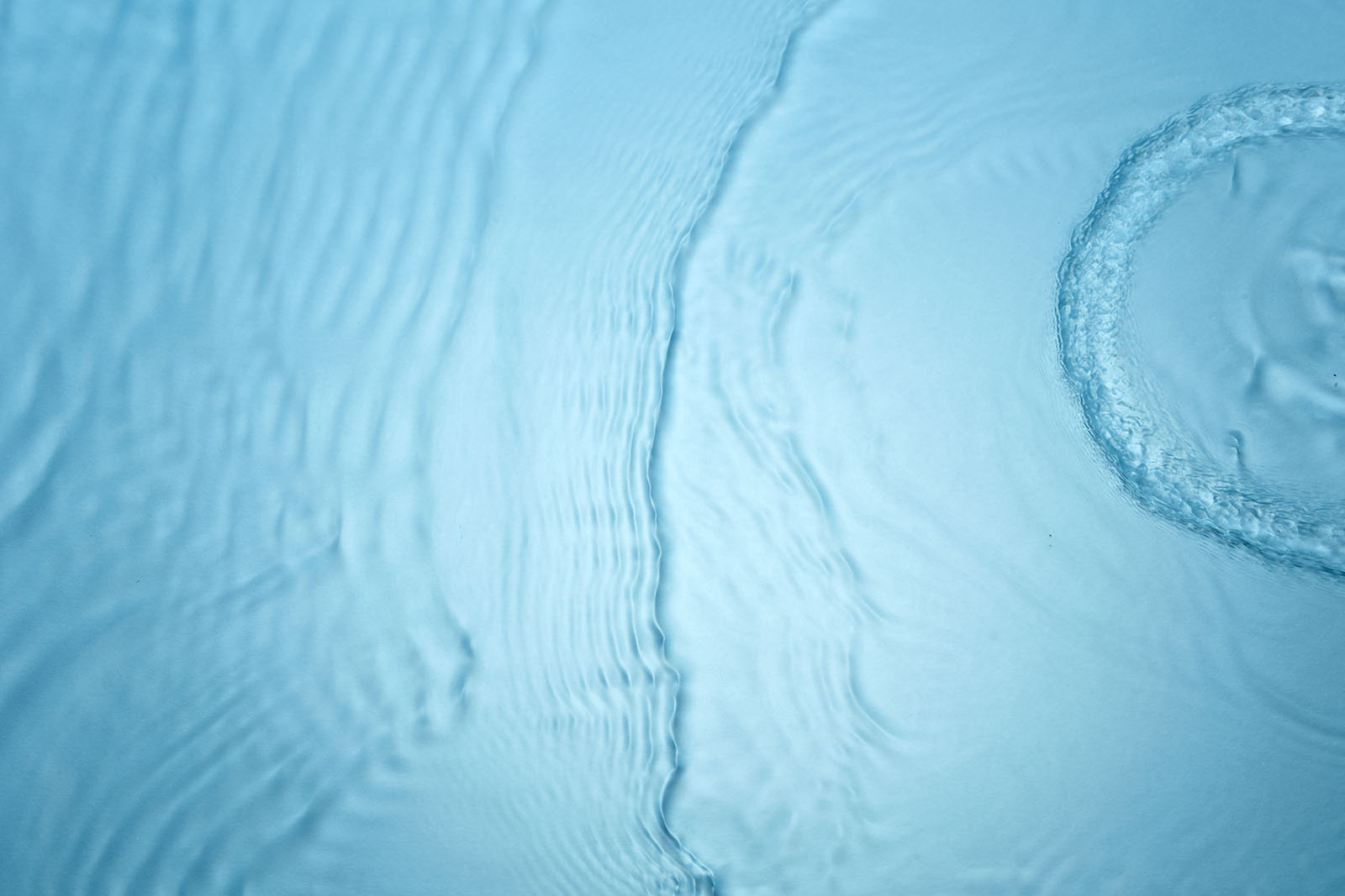 Who We Help – Adults